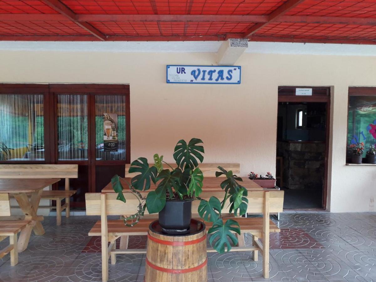 Prenociste Vitas Bed & Breakfast Miljevina Luaran gambar